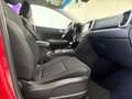Kia Sportage Vision 4WD Rot - thumbnail 15