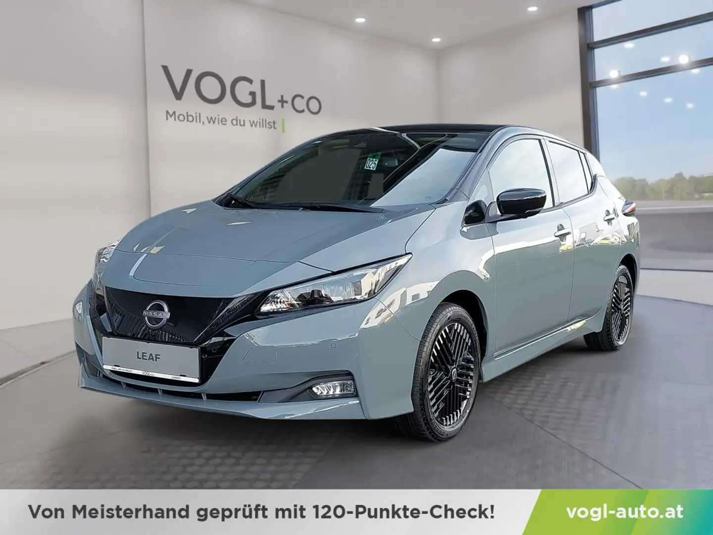 Nissan Leaf N-CONNECTA 217PS WINTER LED Grigio - 1