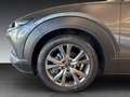 Mazda CX-30 2.5L e-SKYACTIV G 140PS FWD Takumi Grau - thumbnail 10