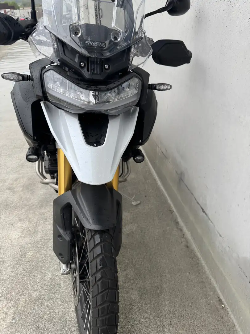 Triumph Tiger 1200 RALLY PRO SOLO 900 KM Bianco - 2