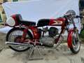 Moto Morini 175 Settebello Rosso - thumbnail 2