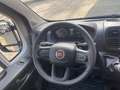 Fiat Ducato Series 9 Furgone Lastrato 35q Mh2 140cv 2.2 Multij Wit - thumbnail 21