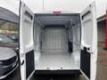 Fiat Ducato Series 9 Furgone Lastrato 35q Mh2 140cv 2.2 Multij Wit - thumbnail 10