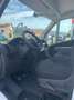 Fiat Ducato Series 9 Furgone Lastrato 35q Mh2 140cv 2.2 Multij Blanco - thumbnail 10