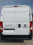 Fiat Ducato Series 9 Furgone Lastrato 35q Mh2 140cv 2.2 Multij Blanco - thumbnail 4