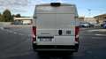 Fiat Ducato Series 9 Furgone Lastrato 35q Mh2 140cv 2.2 Multij Blanc - thumbnail 9