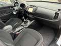 Kia Sportage 2.0 CRDI AWD 4x4/GANCIO/UNICA PROP Bianco - thumbnail 14