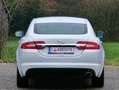 Jaguar XF 2.2 Diesel Top* Kredit* Automatik* Navi* Leder* - thumbnail 6