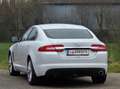 Jaguar XF 2.2 Diesel Top* Kredit* Automatik* Navi* Leder* - thumbnail 4