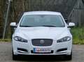 Jaguar XF 2.2 Diesel Top* Kredit* Automatik* Navi* Leder* - thumbnail 5