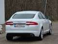 Jaguar XF 2.2 Diesel Top* Kredit* Automatik* Navi* Leder* - thumbnail 3