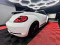 Volkswagen Beetle 🔺VW BEETLE*RLINE*XENON*CABRIOLET 🔺 Blanc - thumbnail 7