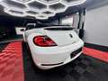 Volkswagen Beetle 🔺VW BEETLE*RLINE*XENON*CABRIOLET 🔺 Blanc - thumbnail 6