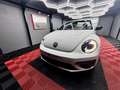 Volkswagen Beetle 🔺VW BEETLE*RLINE*XENON*CABRIOLET 🔺 Blanc - thumbnail 9