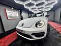 Volkswagen Beetle 🔺VW BEETLE*RLINE*XENON*CABRIOLET 🔺 Blanc - thumbnail 1