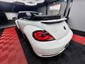 Volkswagen Beetle 🔺VW BEETLE*RLINE*XENON*CABRIOLET 🔺 Blanc - thumbnail 4