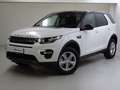 Land Rover Discovery Sport 2.0 TD4 150 CV Pure Weiß - thumbnail 1
