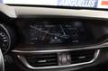 Alfa Romeo Stelvio 2.9 Bi-Turbo Q4 Quadrifoglio AT8 Blau - thumbnail 10