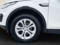 Land Rover Discovery Sport eD4 FWD+Xenon+Navi+Shz+PDC+AHK Wit - thumbnail 7