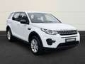 Land Rover Discovery Sport eD4 FWD+Xenon+Navi+Shz+PDC+AHK Wit - thumbnail 6