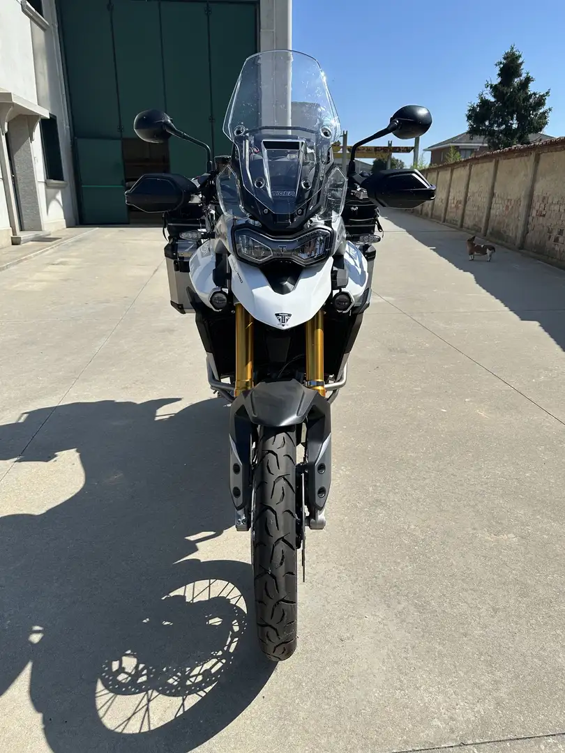 Triumph Tiger 900 Tiger 900 rally pro - 1