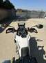 Triumph Tiger 900 Tiger 900 rally pro - thumbnail 3