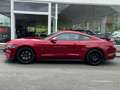 Ford Mustang 2.3i 290CV NEW MODEL ECOBOOST INTERIEUR ROUGE Grey - thumbnail 10