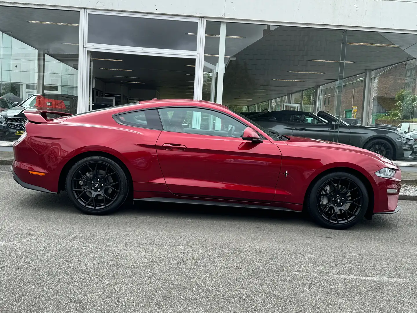 Ford Mustang 2.3i 290CV NEW MODEL ECOBOOST INTERIEUR ROUGE Grey - 2