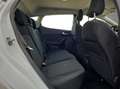 Ford Fiesta Active 1.0 Ecoboost 100 CV Wit - thumbnail 20