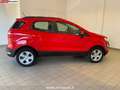 Ford EcoSport 1.0 EcoBoost 125 CV Start&Stop aut. Plus Rosso - thumbnail 5