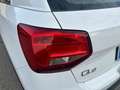 Audi Q2 1.6 tdi Design s-tronic Bianco - thumbnail 19