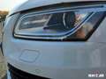 Audi Q5 2.0 TDI 190 AVUS QUATTRO S-TRONIC BVA Weiß - thumbnail 35