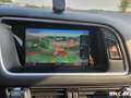Audi Q5 2.0 TDI 190 AVUS QUATTRO S-TRONIC BVA Weiß - thumbnail 18