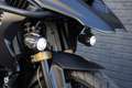 BMW R 1250 GS Special! / Matt zwart / Gouden accenten / Org. NL Negro - thumbnail 17