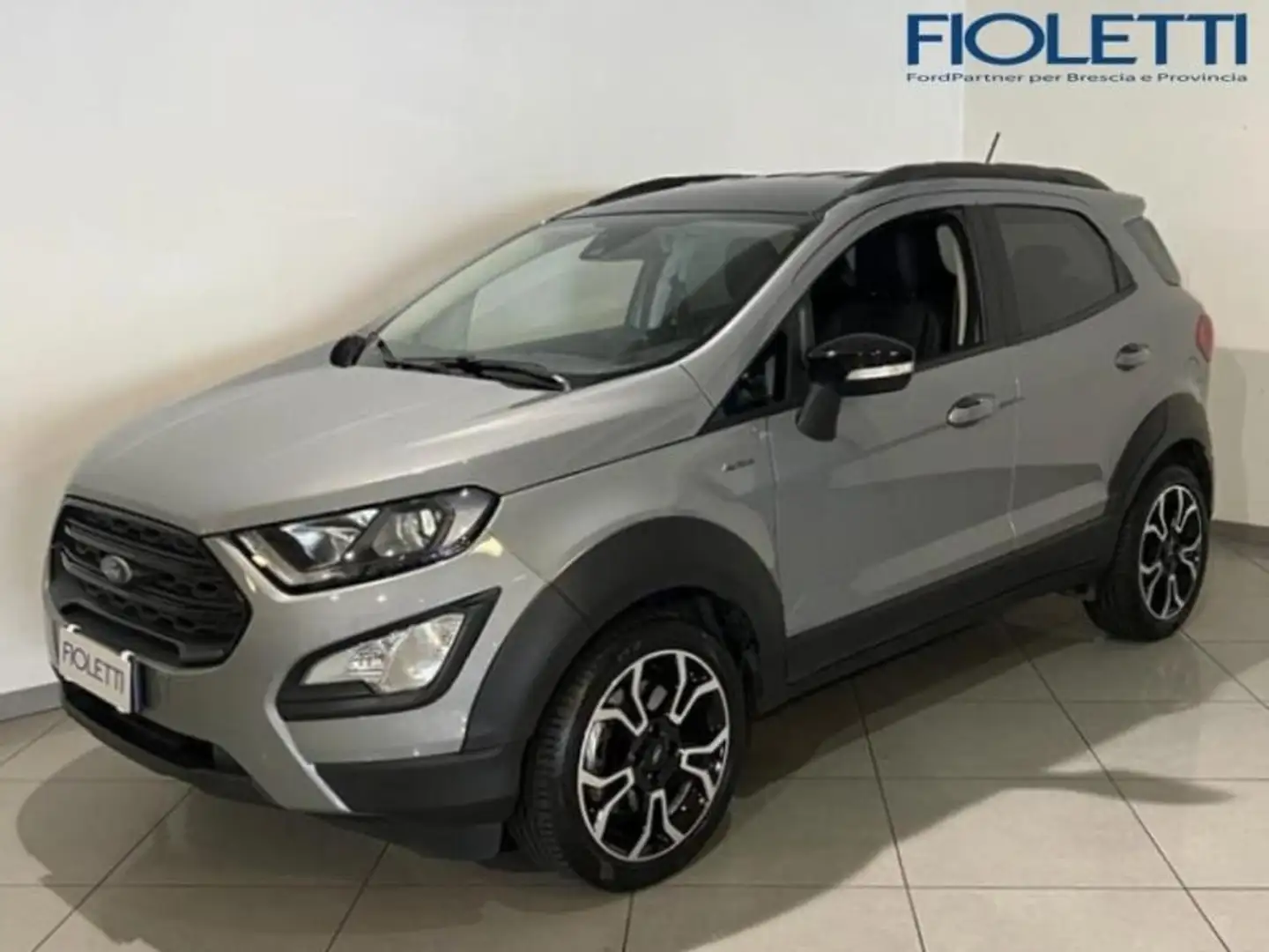 Ford EcoSport 1.0 ECOBOOST 125 CV START&STOP ACTIVE Plateado - 1