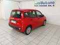 Fiat Panda Panda III 2022 1.0 firefly hybrid s PREZZO+IVA Rood - thumbnail 11
