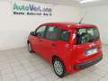 Fiat Panda Panda III 2022 1.0 firefly hybrid s PREZZO+IVA Rood - thumbnail 14