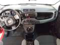 Fiat Panda Panda III 2022 1.0 firefly hybrid s PREZZO+IVA Rood - thumbnail 16