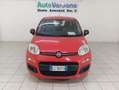 Fiat Panda Panda III 2022 1.0 firefly hybrid s PREZZO+IVA Rood - thumbnail 5