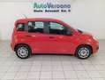 Fiat Panda Panda III 2022 1.0 firefly hybrid s PREZZO+IVA Rood - thumbnail 6