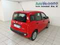Fiat Panda Panda III 2022 1.0 firefly hybrid s PREZZO+IVA Rood - thumbnail 13