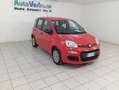 Fiat Panda Panda III 2022 1.0 firefly hybrid s PREZZO+IVA Rood - thumbnail 1