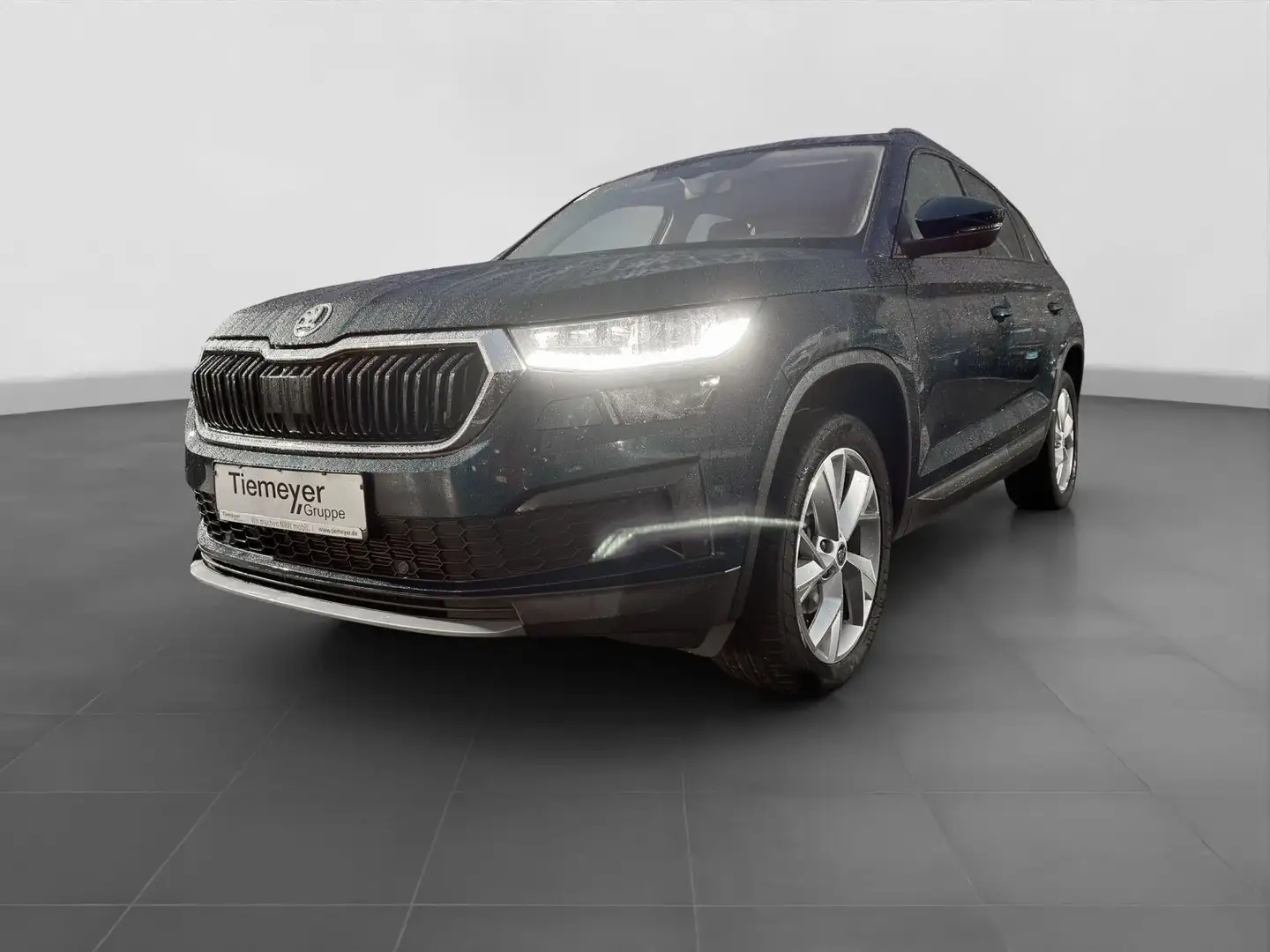 Skoda Kodiaq 2.0 TDI DSG TOUR LEDNAVI KAMERA LM19 AHK Bleu - 2