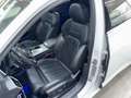 Audi A6 40 TDI quattro 3xS-Line *S6*MATRIX*PANO*360*B&O* Weiß - thumbnail 18