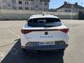 CUPRA Formentor VZ5 Weiß - thumbnail 7
