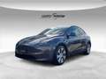 Tesla Model Y Long Range AWD Сірий - thumbnail 1