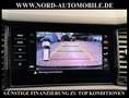 Skoda Kodiaq RS 2.0 TDI DSG AHK/Virt.Cockp/20/Kamera RS Alb - thumbnail 20