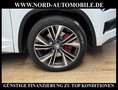 Skoda Kodiaq RS 2.0 TDI DSG AHK/Virt.Cockp/20/Kamera RS Alb - thumbnail 12