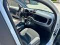 Fiat Panda Panda III 2021 Cross 0.9 natural power Cross 70cv Blanc - thumbnail 10