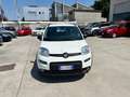 Fiat Panda Panda III 2021 Cross 0.9 natural power Cross 70cv Blanc - thumbnail 3